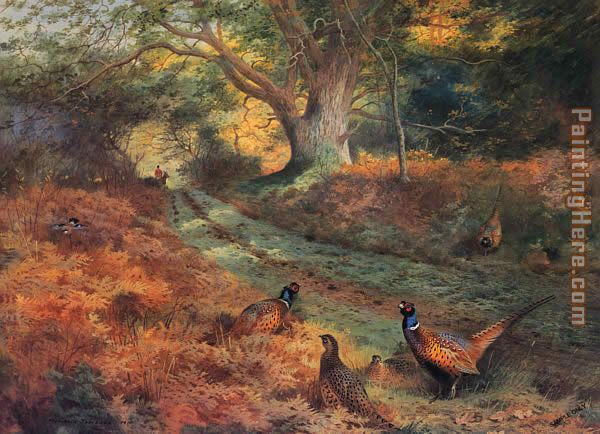 The Bridle Path painting - Archibald Thorburn The Bridle Path art painting
